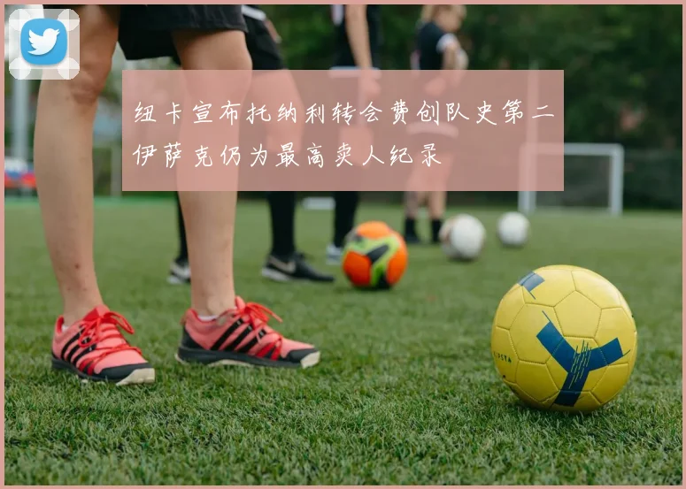 纽卡宣布托纳利转会费创队史第二伊萨克仍为最高卖人纪录