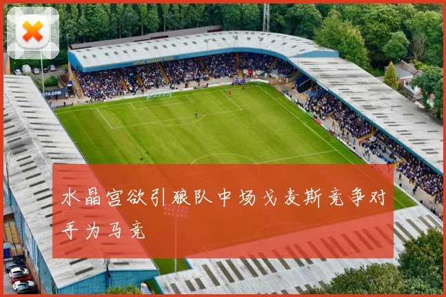 水晶宫欲引狼队中场戈麦斯竞争对手为马竞