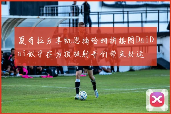 夏奇拉分享凯恩梅哈姆拼接图DaiDai似乎在为顶级射手们带来好运